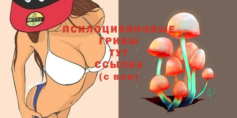 Галлюциногенные грибы MAGIC MUSHROOMS  что такое   Тара 